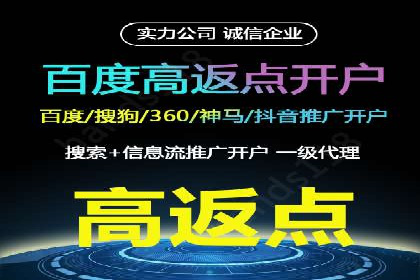 百度推广实战：成功案例解析